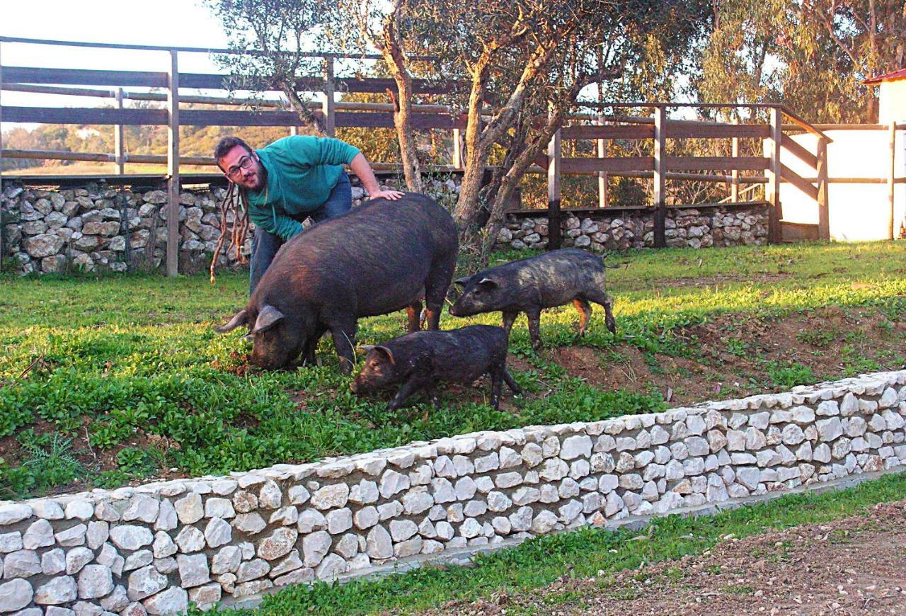 Herdade Da Hera Azambuja Exterior photo